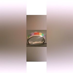 LGBTQ Subtle Pride Rainbow 🌈 Flag Ring